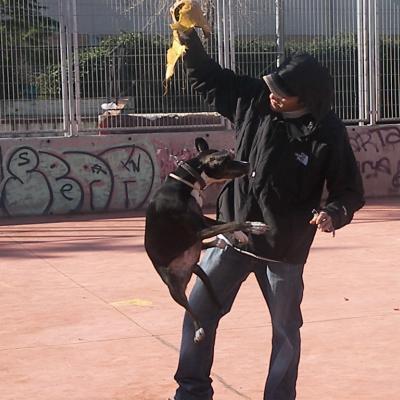Imagen