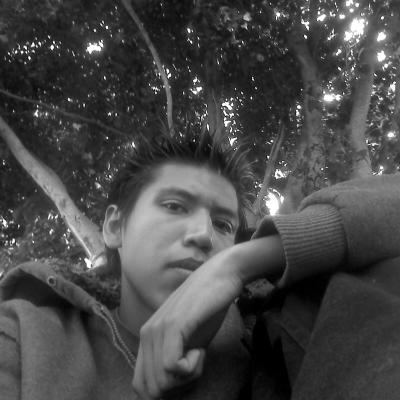 Imagen