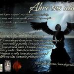 contraportada