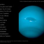 contraportada