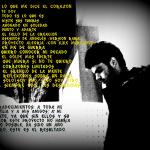 contraportada