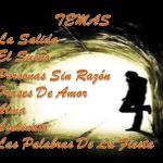 contraportada