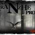tranzheproduccio